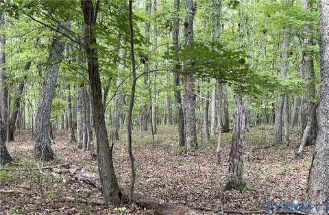 Tiny photo for 10.27 AC College Park Lane, Keysville, VA 23947 (MLS # 2626502)