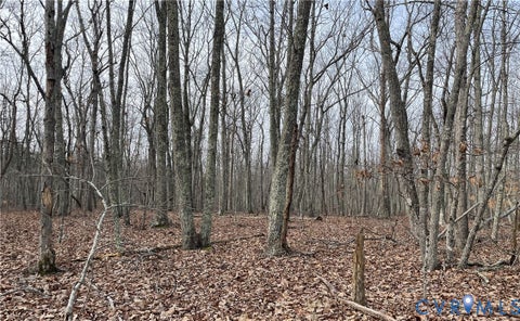 Tiny photo for 10.27 AC College Park Lane, Keysville, VA 23947 (MLS # 2626502)