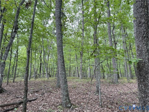 Tiny photo for 10.27 AC College Park Lane, Keysville, VA 23947 (MLS # 2626502)