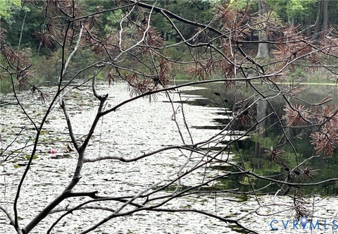 Tiny photo for 10.27 AC College Park Lane, Keysville, VA 23947 (MLS # 2626502)