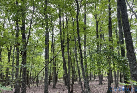 Tiny photo for 10.27 AC College Park Lane, Keysville, VA 23947 (MLS # 2626502)