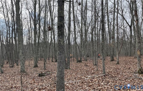 Tiny photo for 10.27 AC College Park Lane, Keysville, VA 23947 (MLS # 2626502)