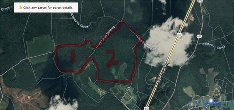 Tiny photo for 0 Purkins Road, Millers Tavern, VA 22560 (MLS # 2525151)