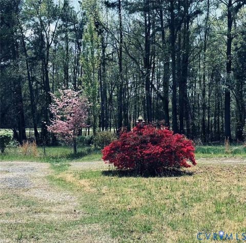Tiny photo for 21600 Patrick Henry Highway, Jetersville, VA 23083 (MLS # 2615773)