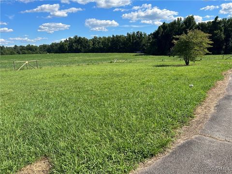 Tiny photo for 8631 Namozine Road, Amelia Courthouse, VA 23002 (MLS # 2502748)