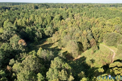 Tiny photo for 1059 W Entrance Road, Blackstone, VA 23824 (MLS # 2628641)