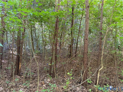 Tiny photo for 300 Skipper Lane, Yorktown, VA 23693 (MLS # 2626796)