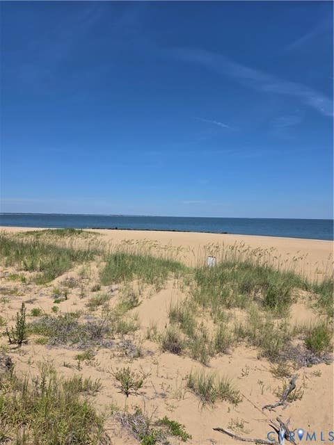 Tiny photo for 744 W Ocean View Avenue #L, Norfolk, VA 23503 (MLS # 2621570)