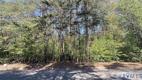 Tiny photo for 00 Hamilton Street, Daleville, VA 24541 (MLS # 2625100)