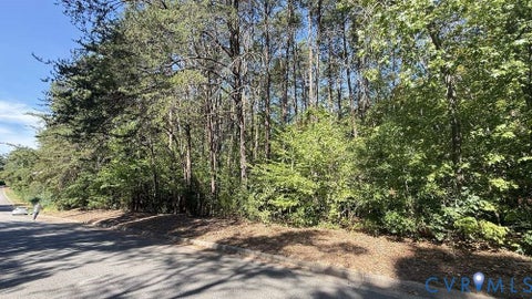 Tiny photo for 00 Hamilton Street, Daleville, VA 24541 (MLS # 2625100)