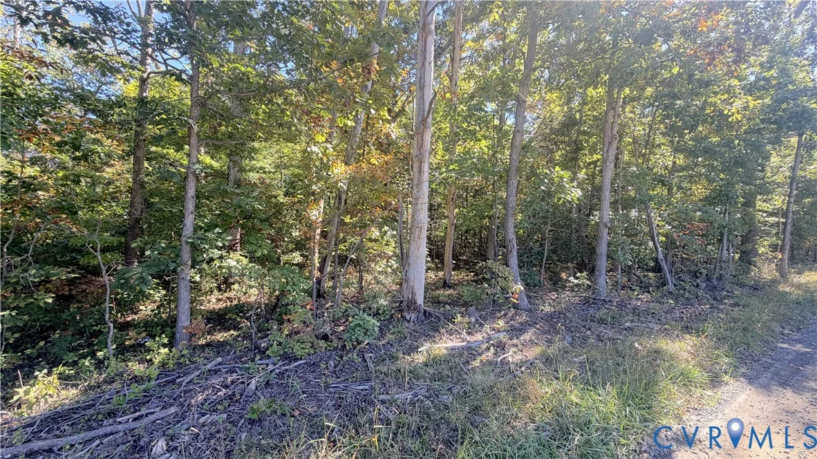 16106 Thoroughfare Road