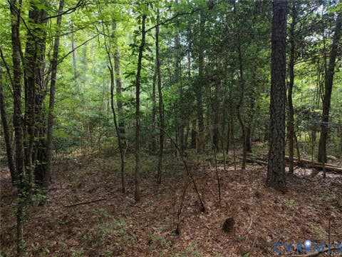 Tiny photo for 14371 N Ivey Mill Road, Chesterfield, VA 23838 (MLS # 2622960)