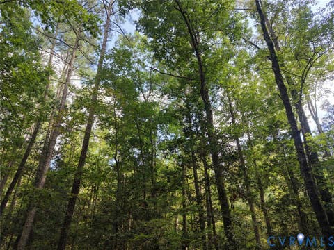 Tiny photo for 14371 N Ivey Mill Road, Chesterfield, VA 23838 (MLS # 2622960)