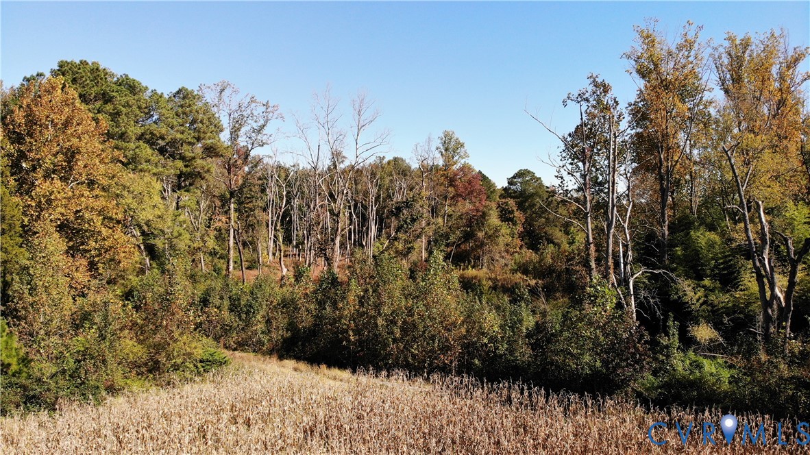 6800 and 6856 Willson Road