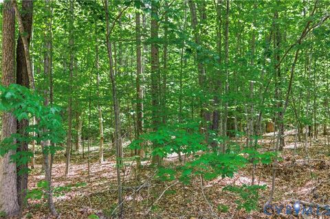 Tiny photo for Lot 2 Colemans Lake Road, Ford, VA 23850 (MLS # 2610855)