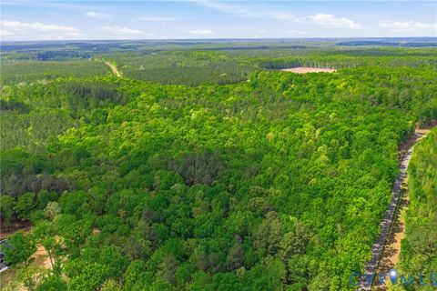 Tiny photo for Lot 2 Colemans Lake Road, Ford, VA 23850 (MLS # 2610855)