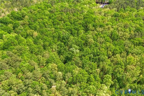 Tiny photo for Lot 2 Colemans Lake Road, Ford, VA 23850 (MLS # 2610855)