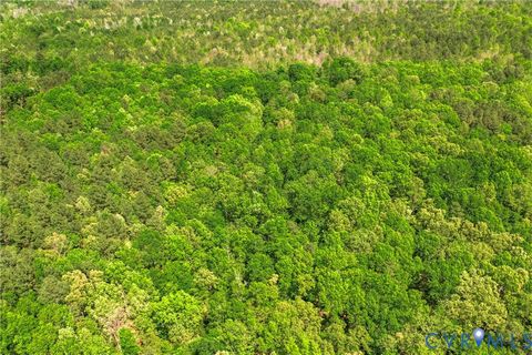 Tiny photo for Lot 2 Colemans Lake Road, Ford, VA 23850 (MLS # 2610855)