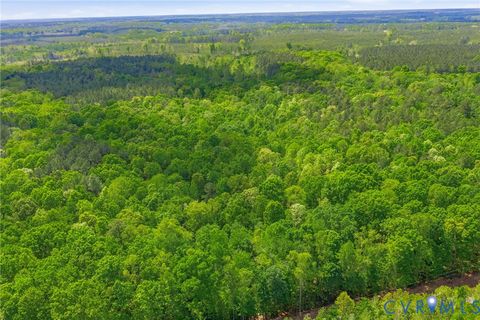 Tiny photo for Lot 2 Colemans Lake Road, Ford, VA 23850 (MLS # 2610855)