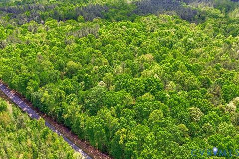 Tiny photo for Lot 2 Colemans Lake Road, Ford, VA 23850 (MLS # 2610855)