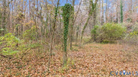 Tiny photo for 335 Charmian Road, Richmond, VA 23226 (MLS # 2620508)