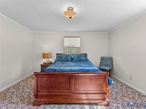 Tiny photo for 218 Deer Run Road, Blackstone, VA 23824 (MLS # 2608771)