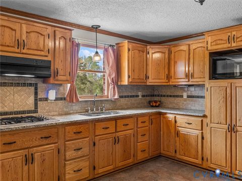 Tiny photo for 218 Deer Run Road, Blackstone, VA 23824 (MLS # 2608771)