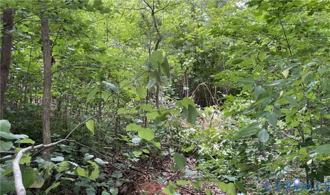 Tiny photo for 00 Horsepen Road RD, Farmville, VA 23901 (MLS # 2620937)