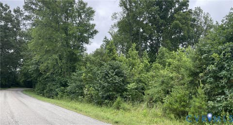 Tiny photo for 00 Horsepen Road RD, Farmville, VA 23901 (MLS # 2620937)