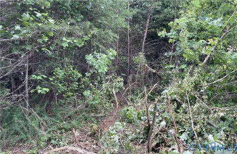 Tiny photo for 00 Horsepen Road RD, Farmville, VA 23901 (MLS # 2620937)