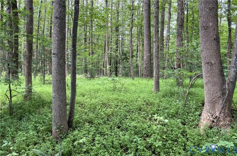 Tiny photo for 00 Horsepen Road RD, Farmville, VA 23901 (MLS # 2620937)
