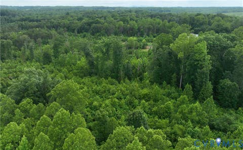 Tiny photo for 00 Horsepen Road RD, Farmville, VA 23901 (MLS # 2620937)