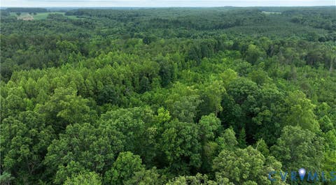 Tiny photo for 00 Horsepen Road RD, Farmville, VA 23901 (MLS # 2620937)