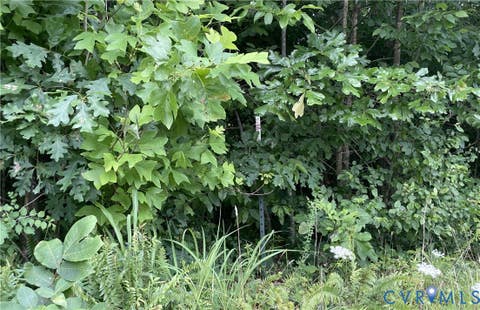 Tiny photo for 00 Horsepen Road RD, Farmville, VA 23901 (MLS # 2620937)