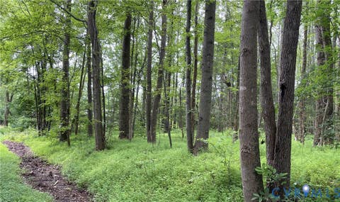 Tiny photo for 00 Horsepen Road RD, Farmville, VA 23901 (MLS # 2620937)