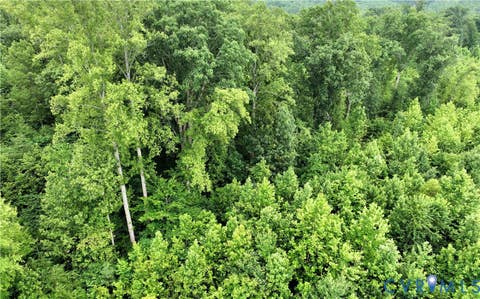 Tiny photo for 00 Horsepen Road RD, Farmville, VA 23901 (MLS # 2620937)