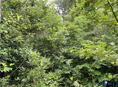 Tiny photo for 00 Horsepen Road RD, Farmville, VA 23901 (MLS # 2620937)
