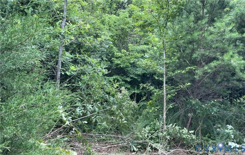 Tiny photo for 00 Horsepen Road RD, Farmville, VA 23901 (MLS # 2620937)
