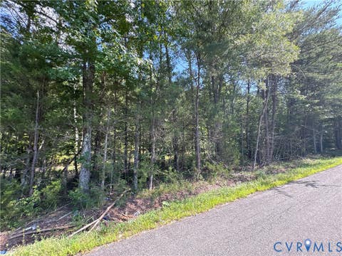 Tiny photo for 00 Roundabout Road, Louisa, VA 23093 (MLS # 2622778)