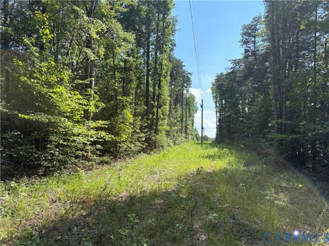 Tiny photo for 00 Roundabout Road, Louisa, VA 23093 (MLS # 2622778)