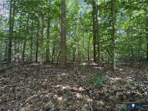 Tiny photo for 00 Roundabout Road, Louisa, VA 23093 (MLS # 2622778)