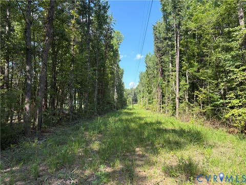 Photo of 00 Roundabout Road, Louisa, VA 23093 (MLS # 2622778)
