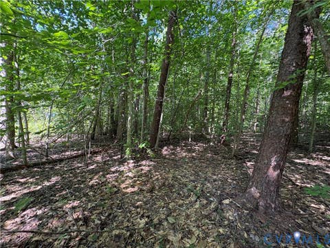 Tiny photo for 00 Roundabout Road, Louisa, VA 23093 (MLS # 2622778)