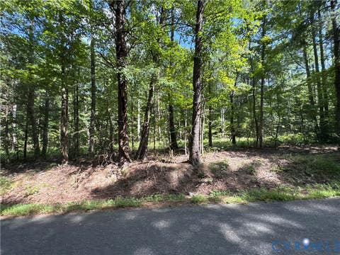 Tiny photo for 00 Roundabout Road, Louisa, VA 23093 (MLS # 2622778)