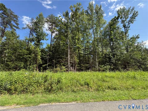 Tiny photo for 00 Roundabout Road, Louisa, VA 23093 (MLS # 2622778)