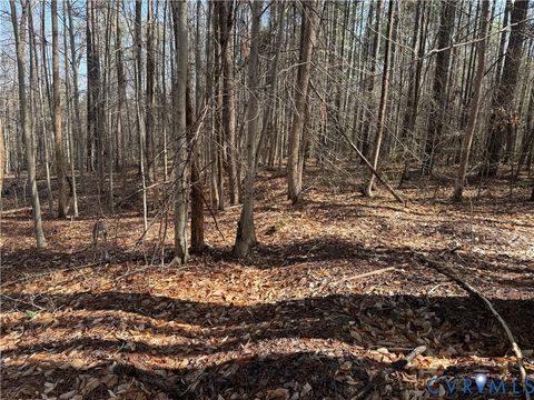 Tiny photo for 17226 Parsons Road, Beaverdam, VA 23015 (MLS # 2609127)