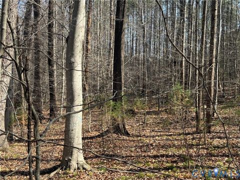 Tiny photo for 17226 Parsons Road, Beaverdam, VA 23015 (MLS # 2609127)