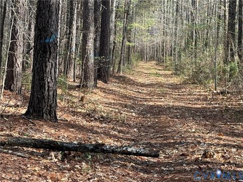 Tiny photo for 17226 Parsons Road, Beaverdam, VA 23015 (MLS # 2609127)