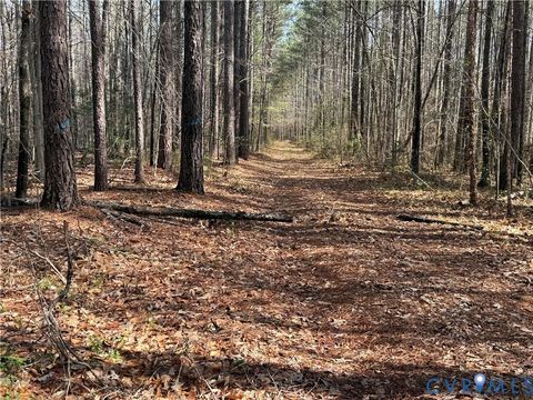 Tiny photo for 17226 Parsons Road, Beaverdam, VA 23015 (MLS # 2609127)