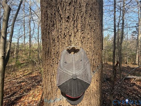 Tiny photo for 17226 Parsons Road, Beaverdam, VA 23015 (MLS # 2609127)